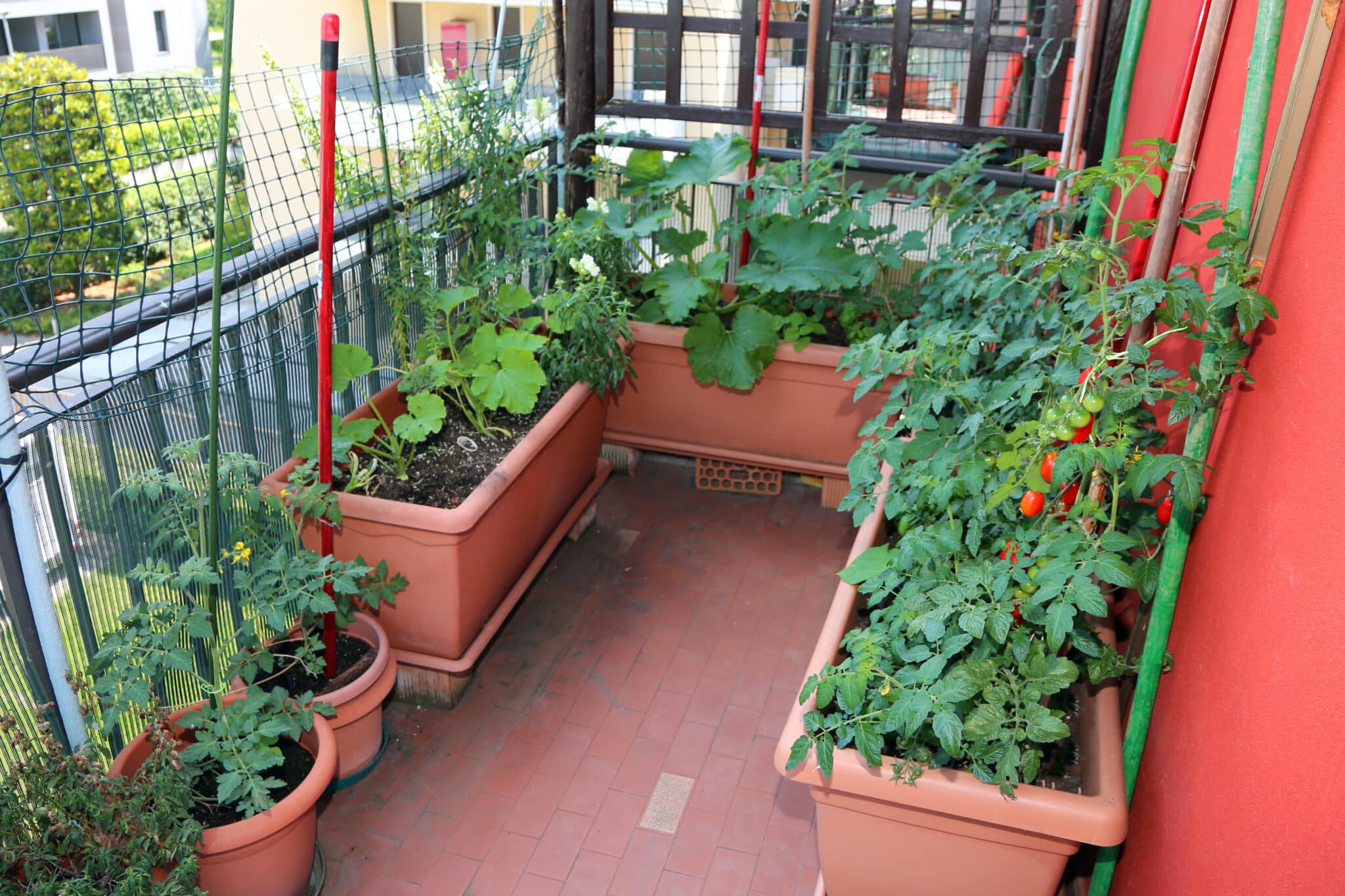 patio garden