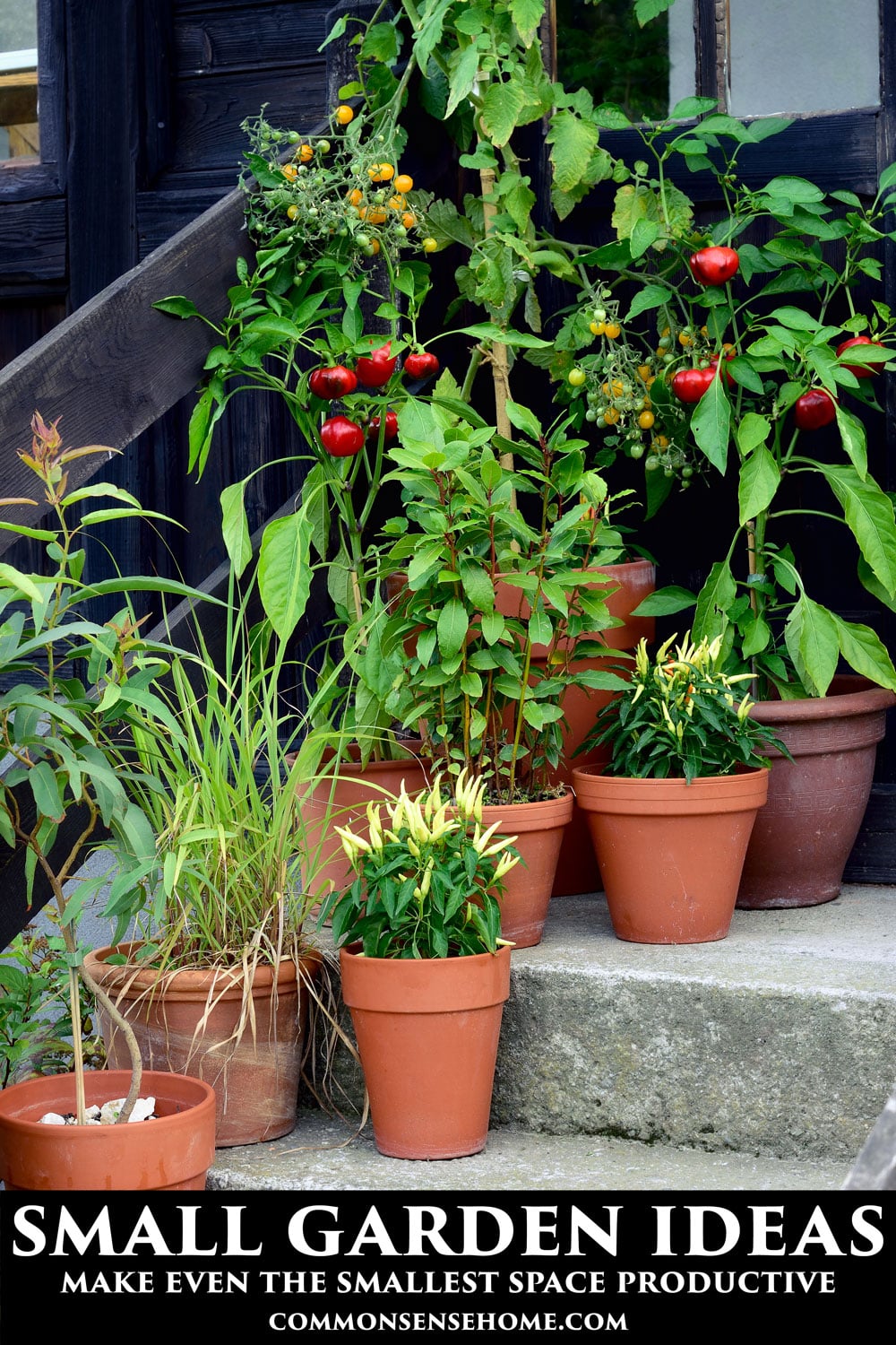 container garden on concrete steps