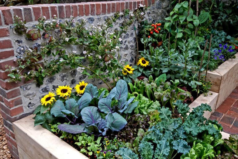 8 Small Vegetable Garden Ideas & Growing Tips
