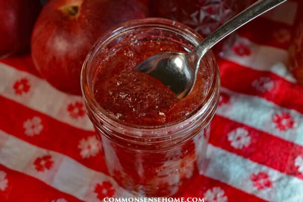 spoonful of apple jelly