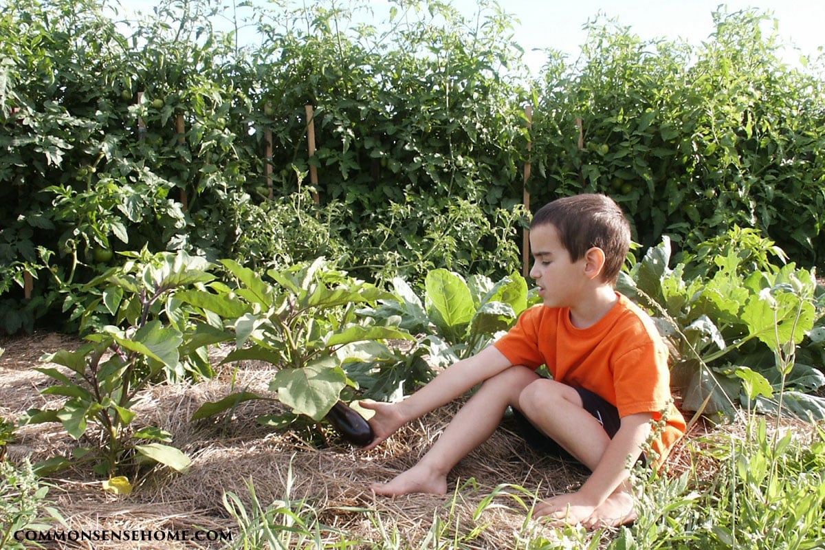 young boy in garden