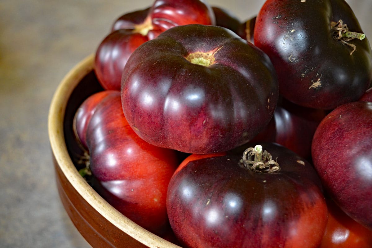 Blue Beauty tomatoes