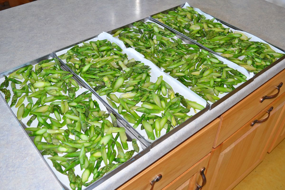 asparagus on freeze dryer trays