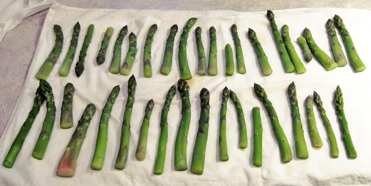 blanched asparagus drying on kitchen towel