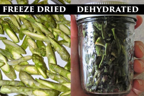 comparison of freeze dried and dehydrated asparagus