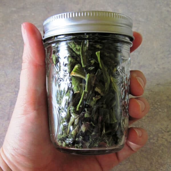 dehydrated asparagus in mason jar