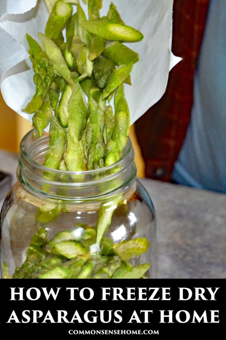 How to Freeze Dry Asparagus at Home