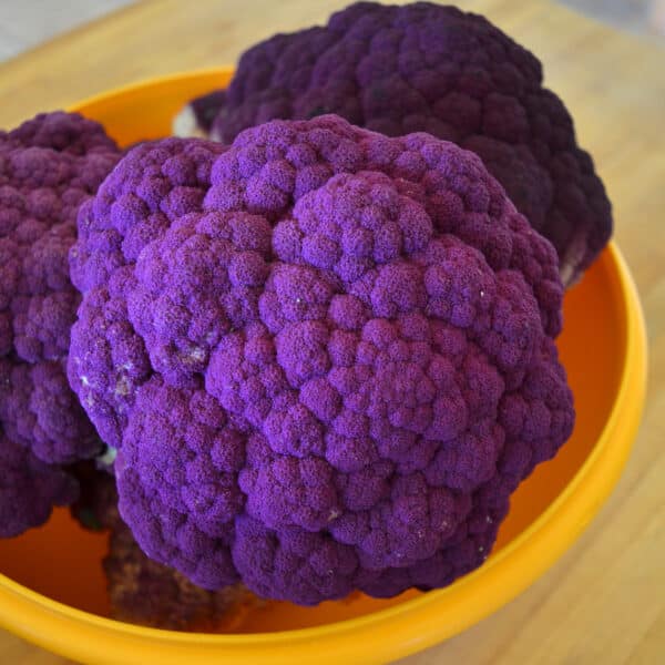 fresh purple cauliflower
