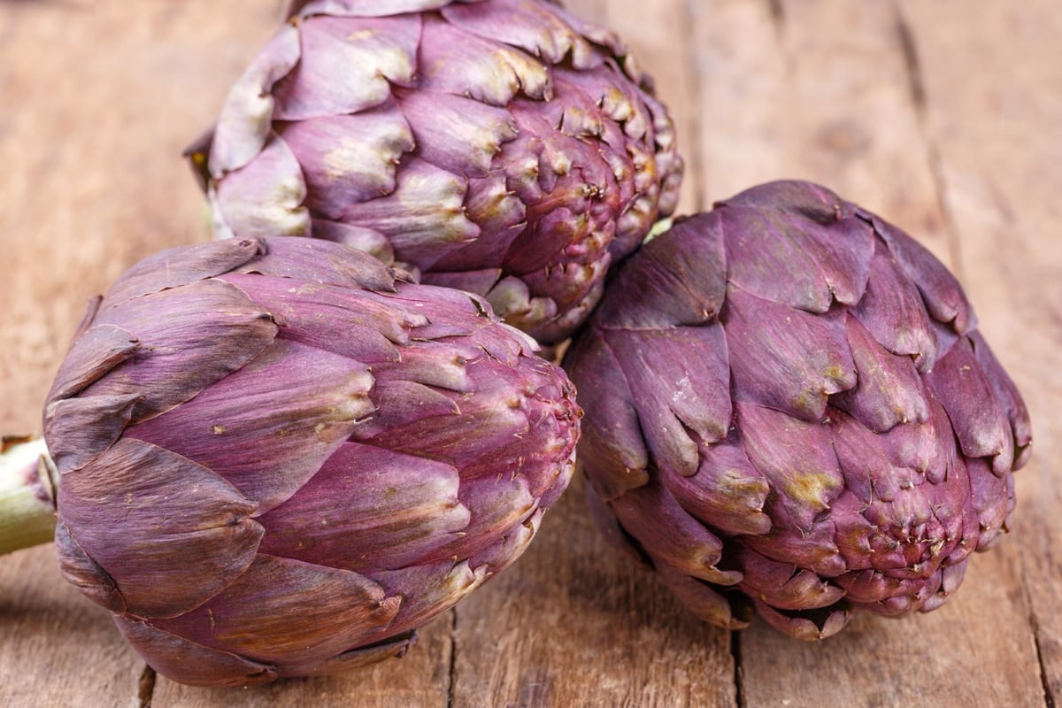 fresh purple artichoke