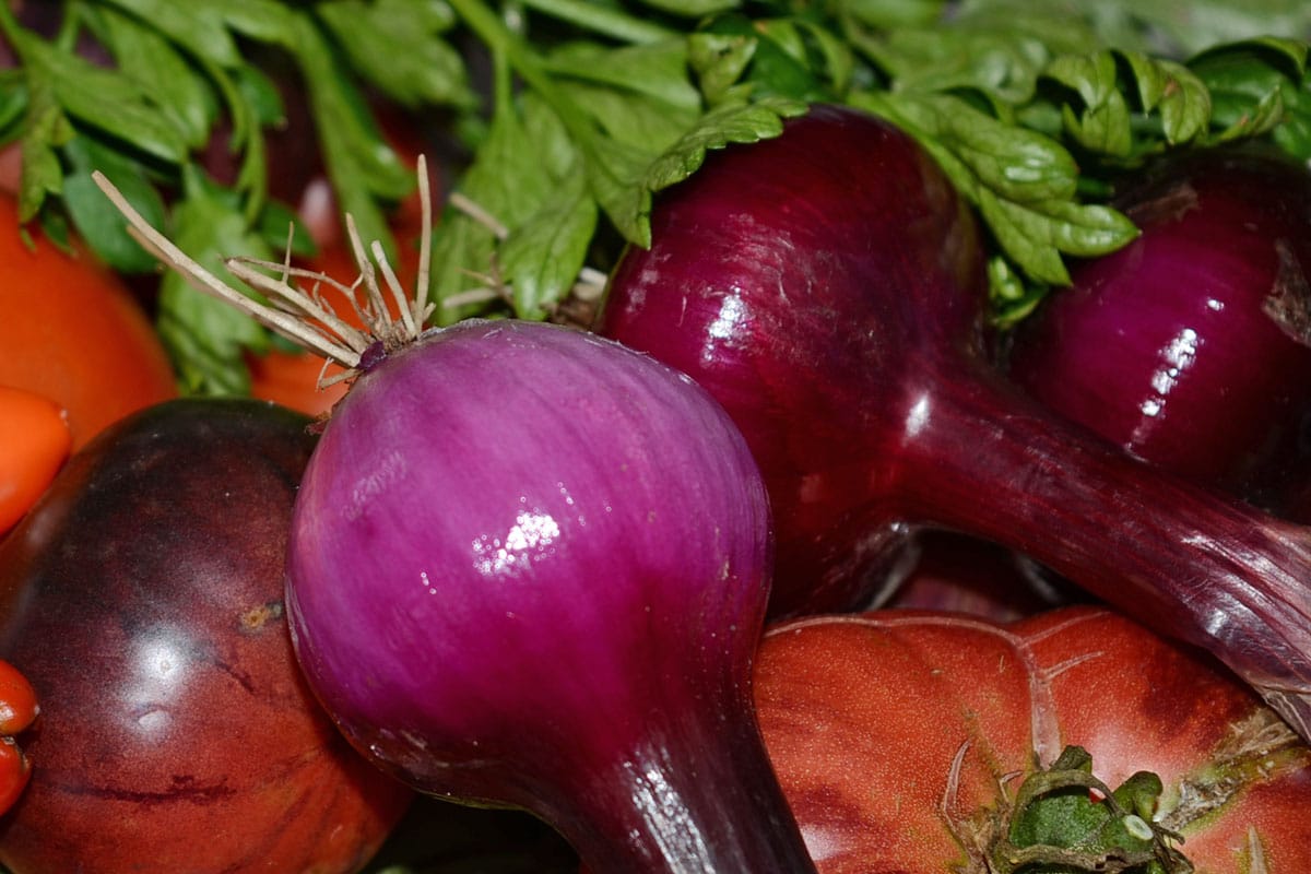 red onions with other salsa ingredients