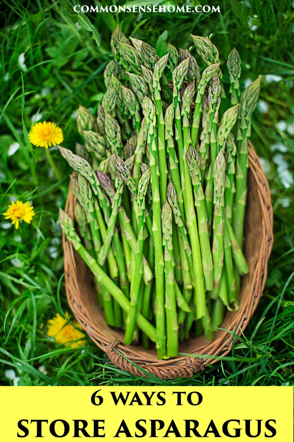 basket of fresh asparagus spears