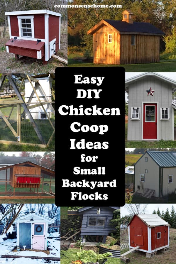 Easy DIY chicken coop ideas