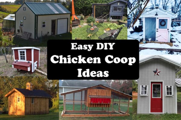 easy DIY chicken coop ideas