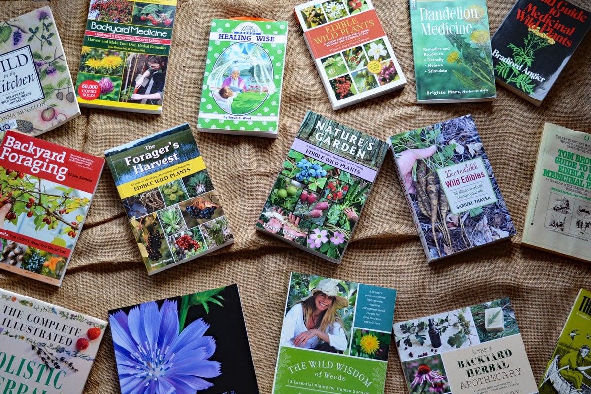 foraging books