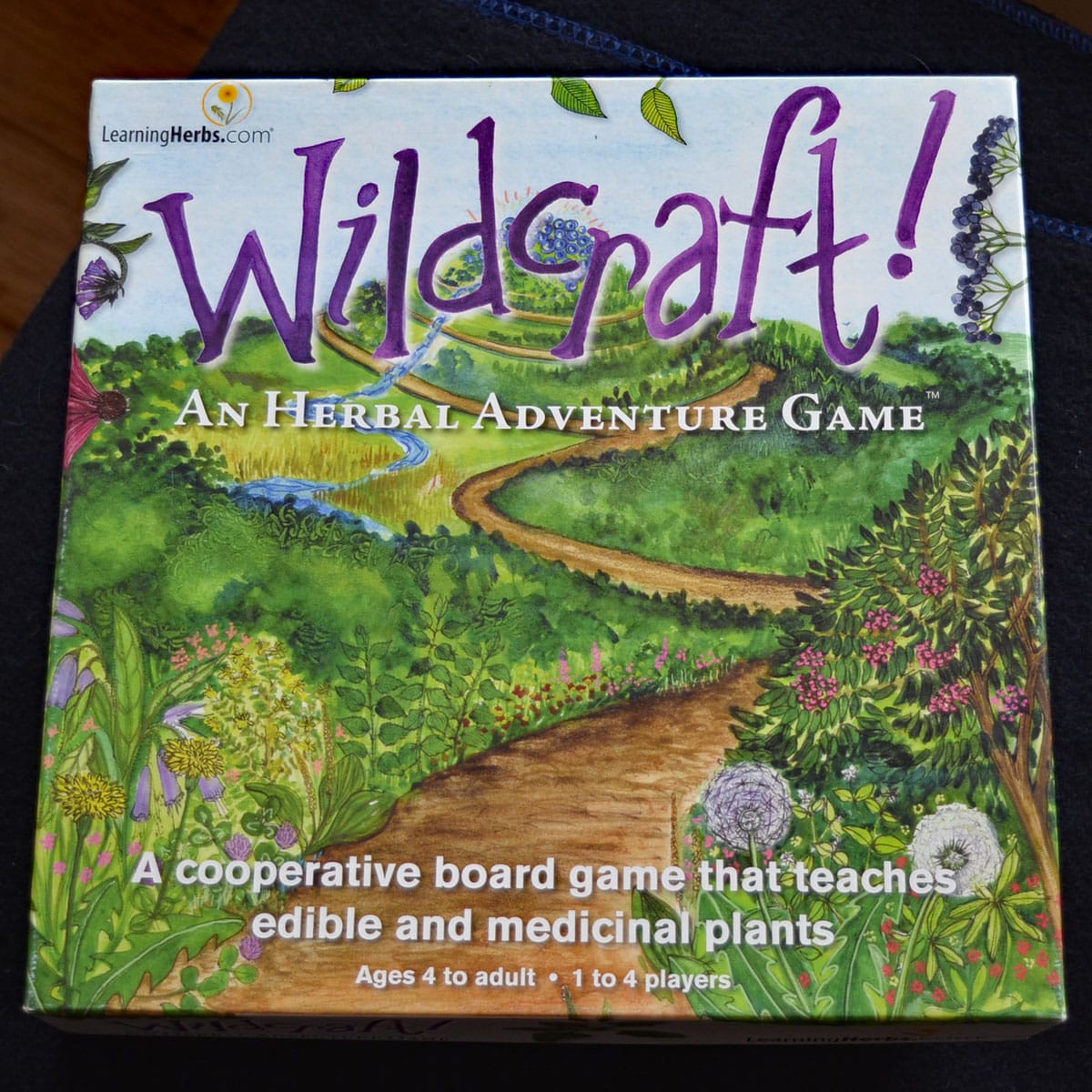 wildcraft foraging board game