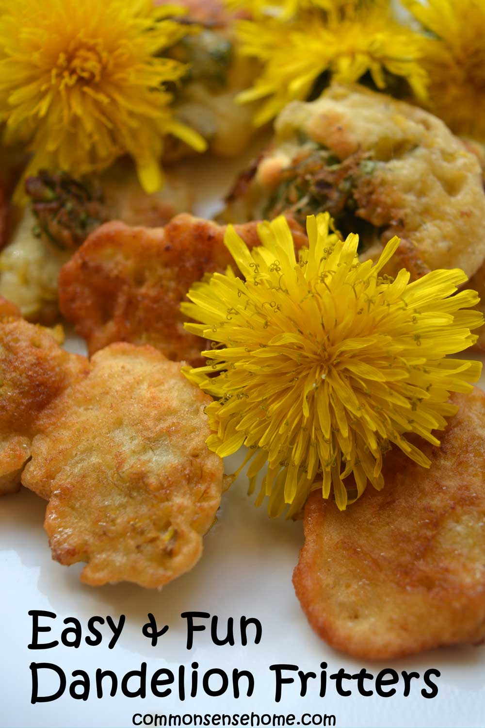 easy & fun dandelion fritters