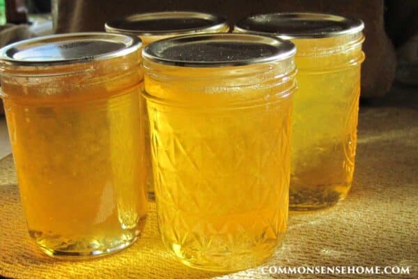 lemon ground cherry jelly