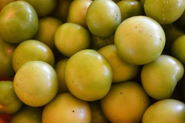 ripe tomatillos without husks