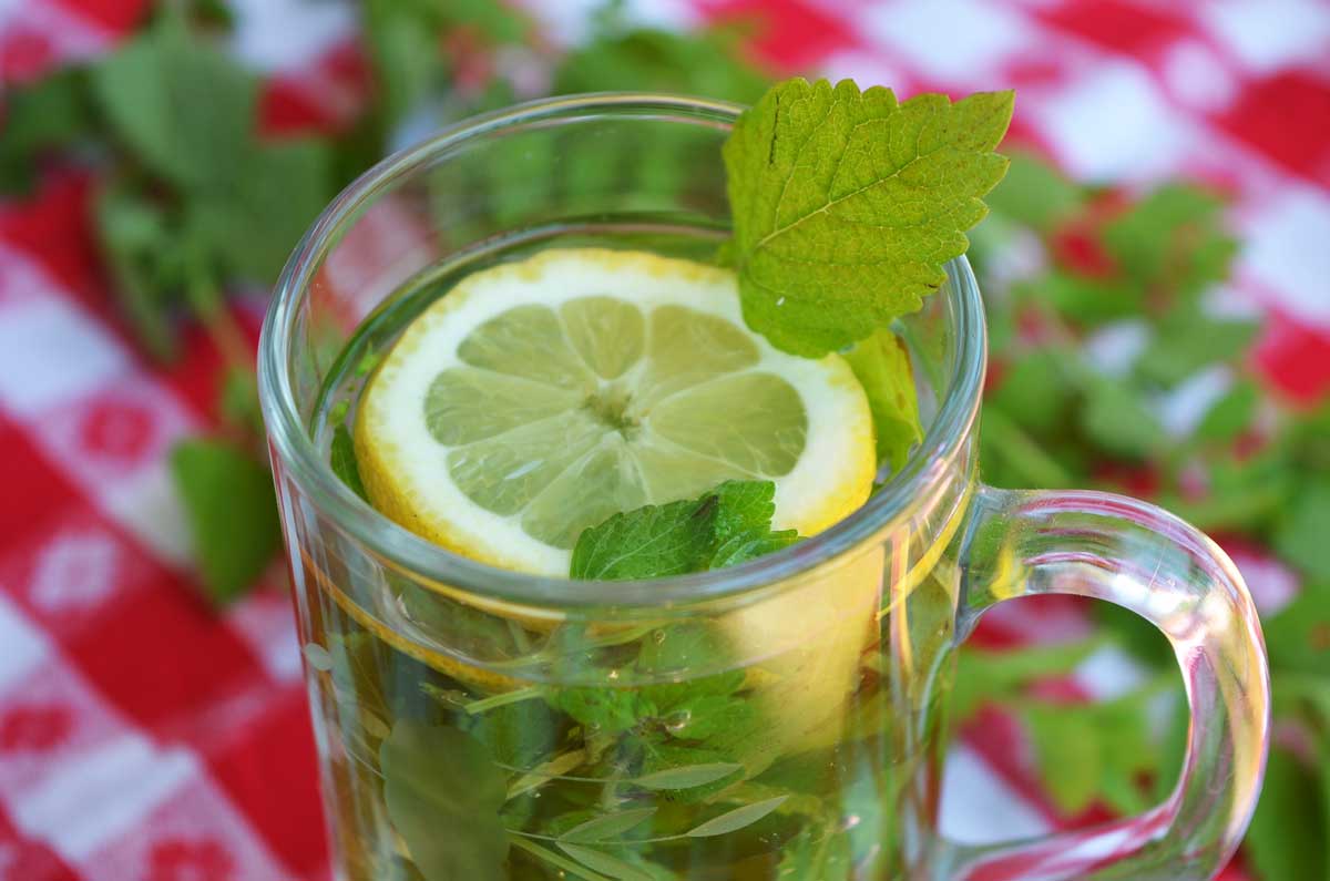 lemon balm tea with fresh lemon slice