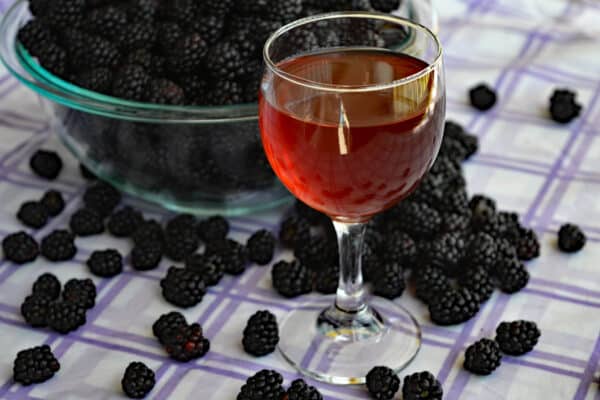 homemade blackberry wine