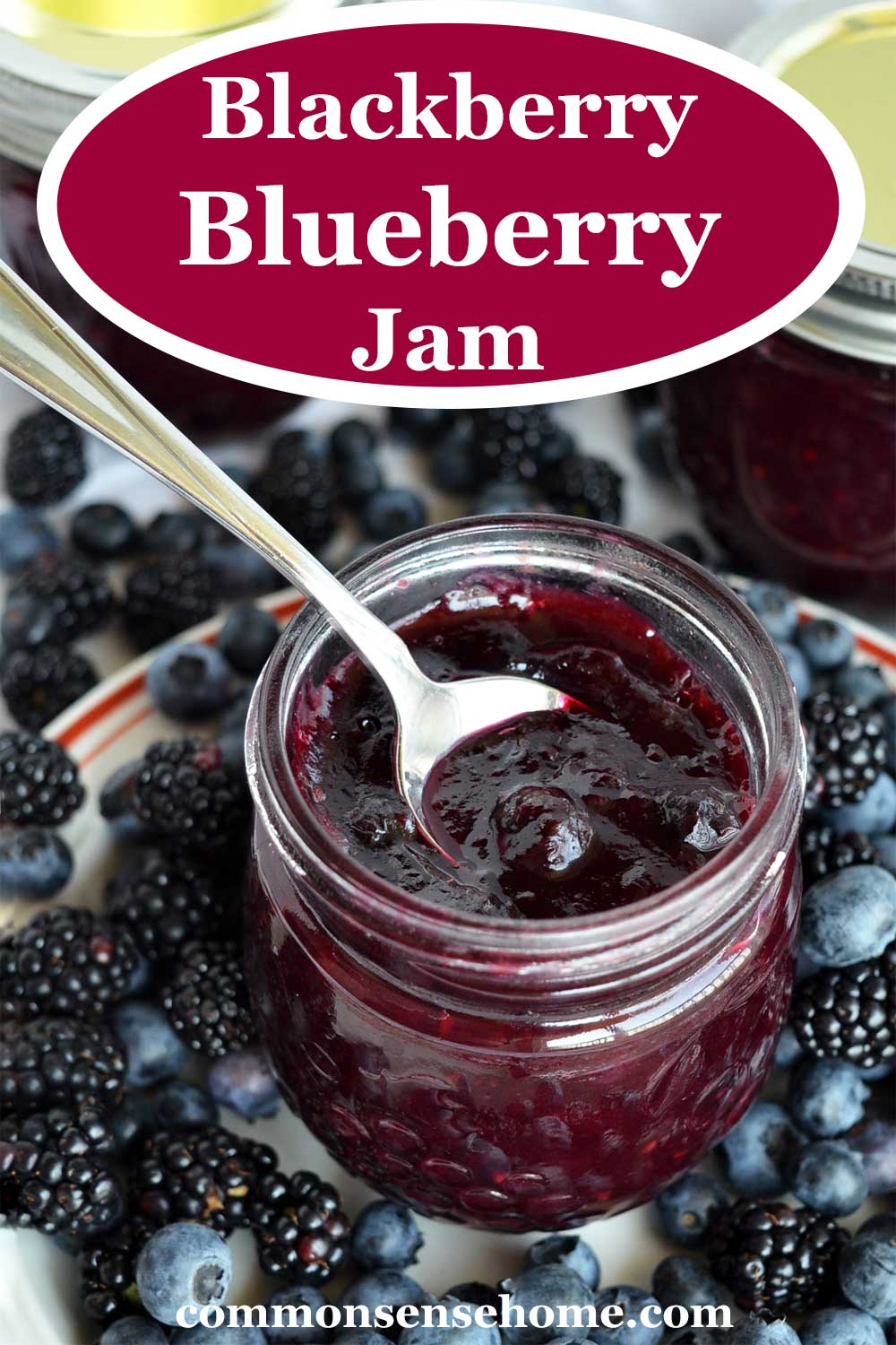 Blackberry Blueberry Jam (Black and Blue Jam)