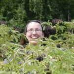 Laurie Neverman in an elderberry patch