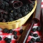 blackberry fruit leather and berries