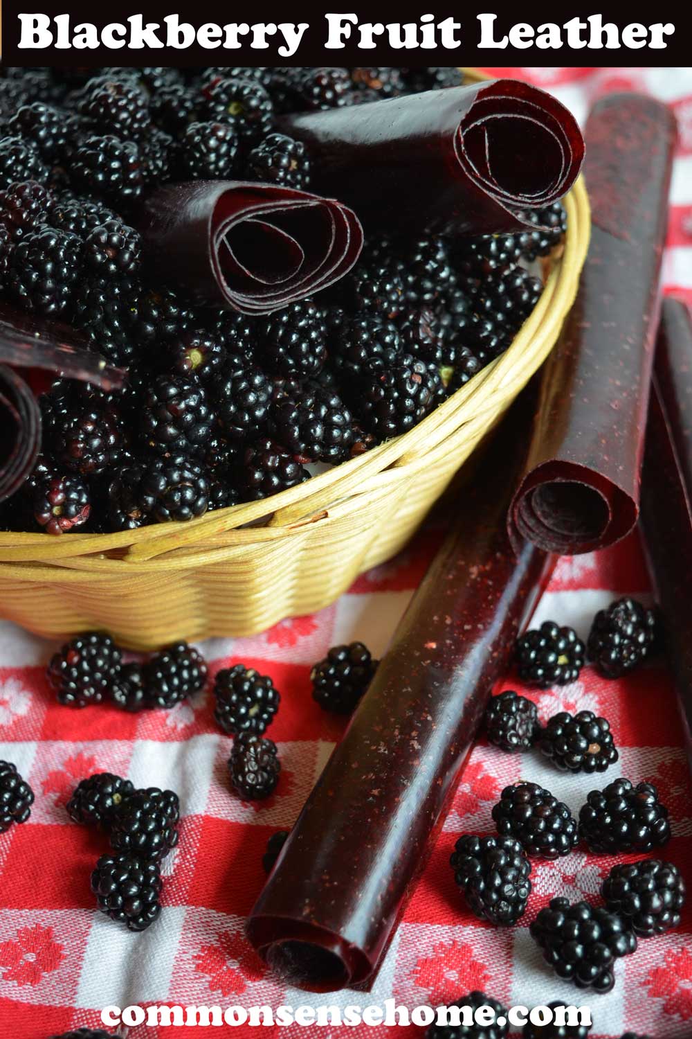 blackberry fruit leather and berries