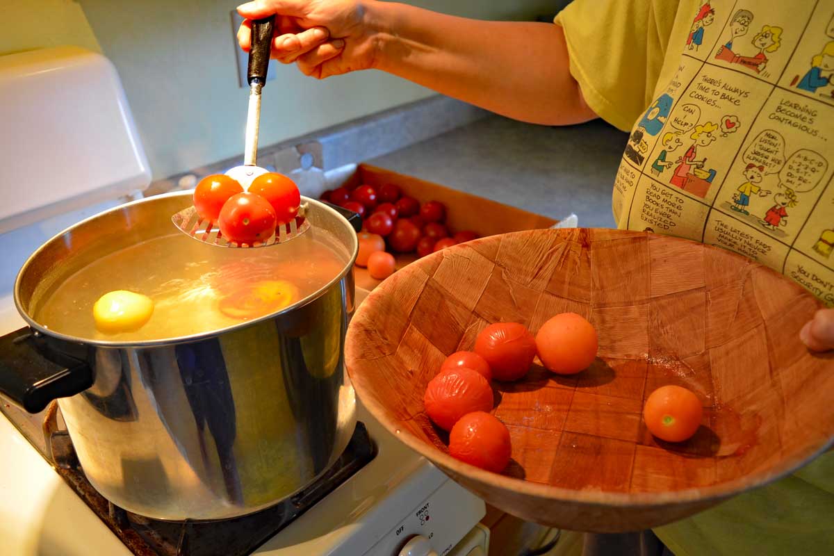 Dipping tomatoes in boiling water