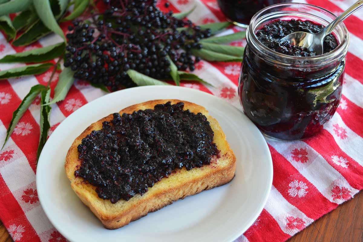 elderberry jam on toast