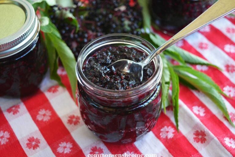 jar of homemade elderberry jam