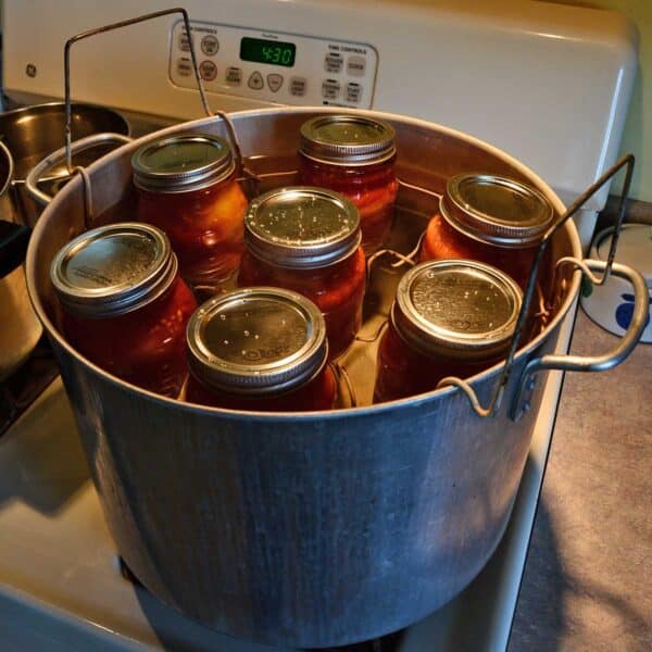 jars of tomatoes in a water bath canner