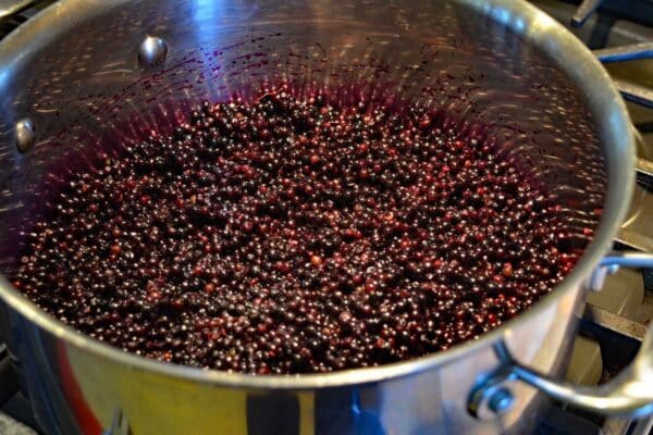 raw elderberries in pot on stove top