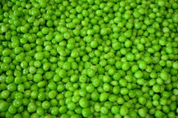 blanched fresh garden peas