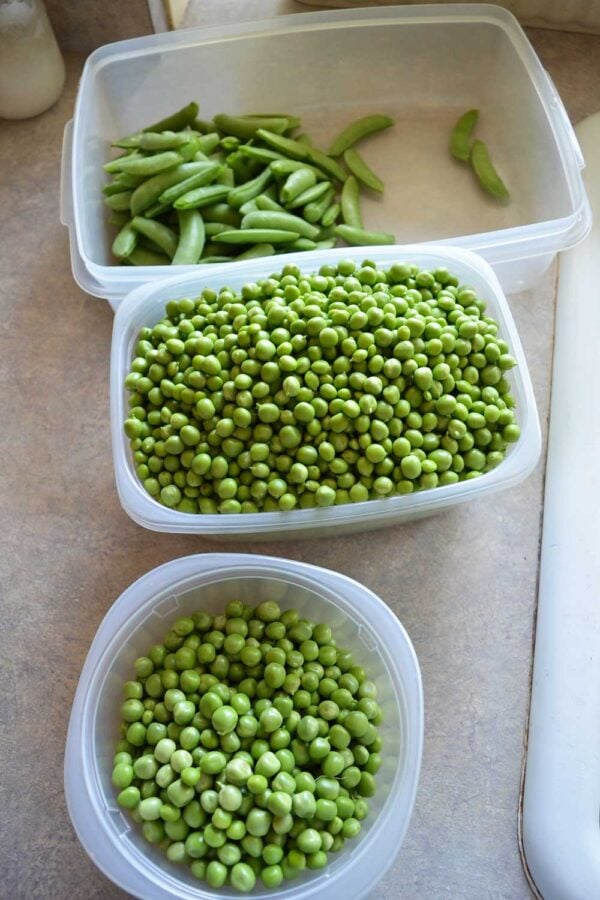 different types of peas