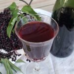 glass of homemade elderberry wine