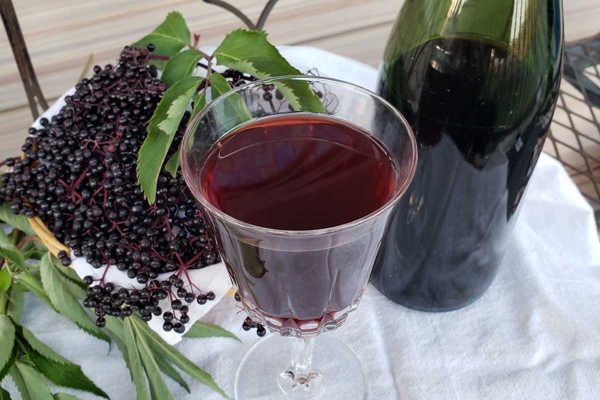 glass of homemade elderberry wine