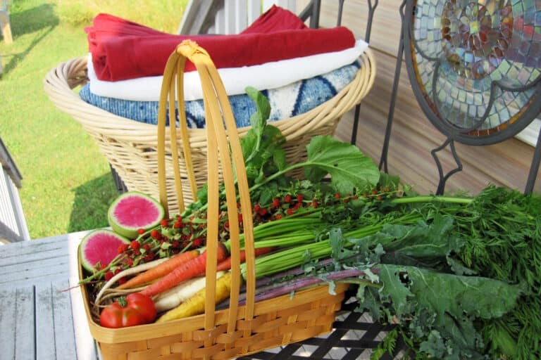 tools from a homesteading lifestyle - a laundry basket and a basket of fresh picked garden produce