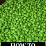 how to freeze peas