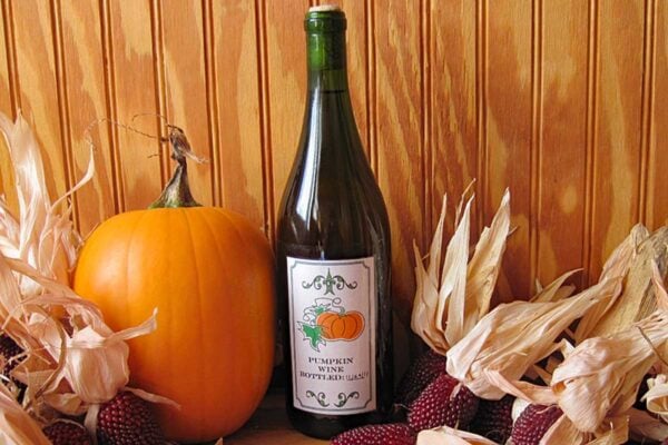 homemade pumpkin wine