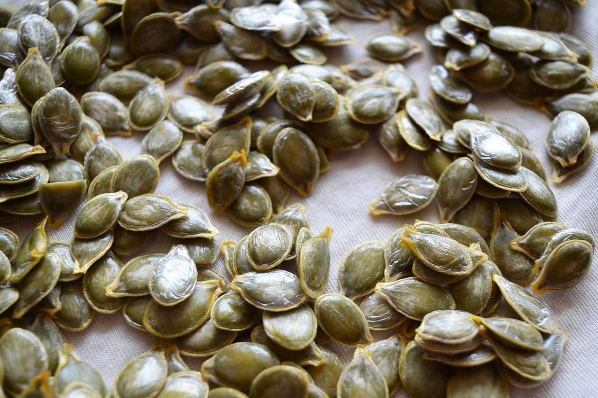 hull less pumpkin seeds