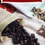 best heirloom seed companies