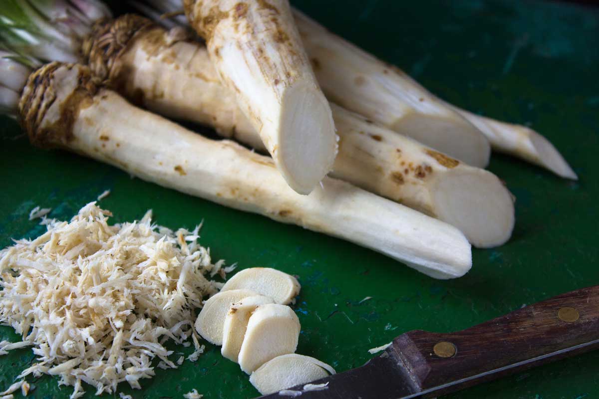 freshly grated horseradish root