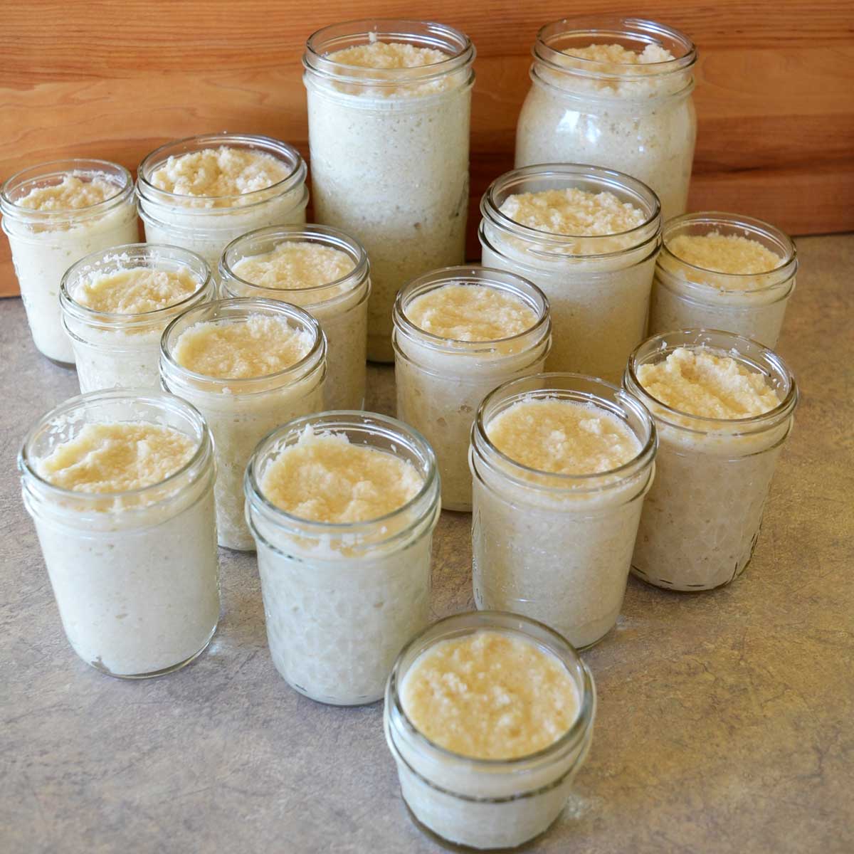 homemade horseradish sauce from root