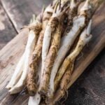 horseradish medicinal benefits