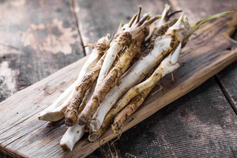 horseradish roots