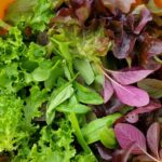 vegetables that grow in shade