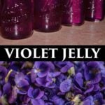 violet jelly recipes