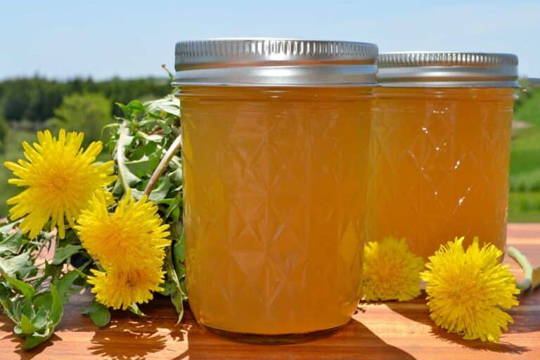 dandelion jelly
