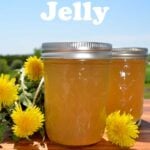 easy dandelion jelly recipe